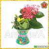 Planter	Ugaldaan	Green